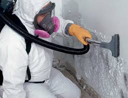 Leisure Village East, NJ Mold Remediation Company